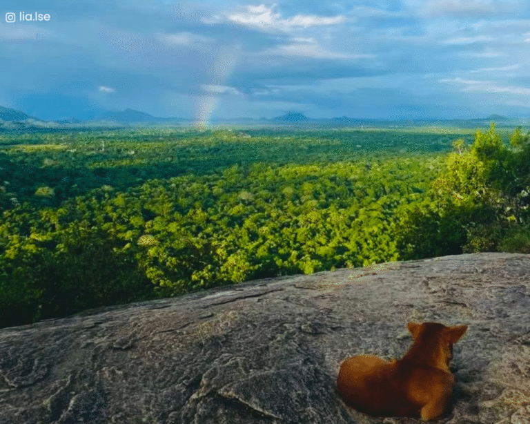 Panoramic view of the surrounding plains