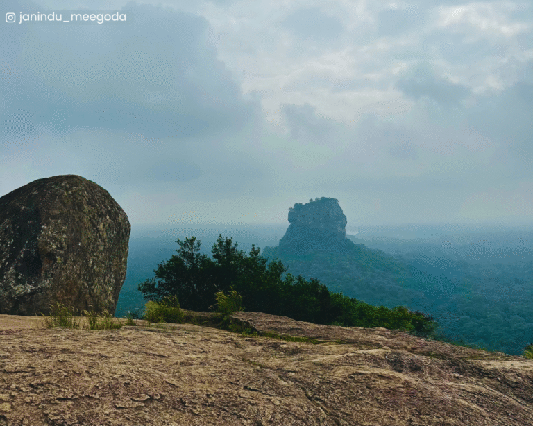 View of Sigiriya rising in the distance from Pidurangala