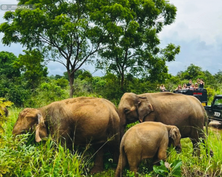 A baby elephant safely surrounded by its herd