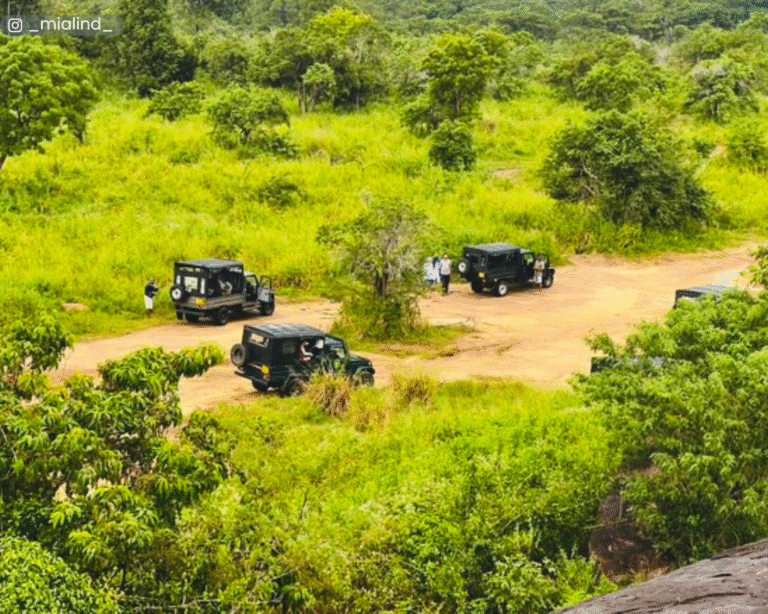 View from Walasgala Mountain in the park