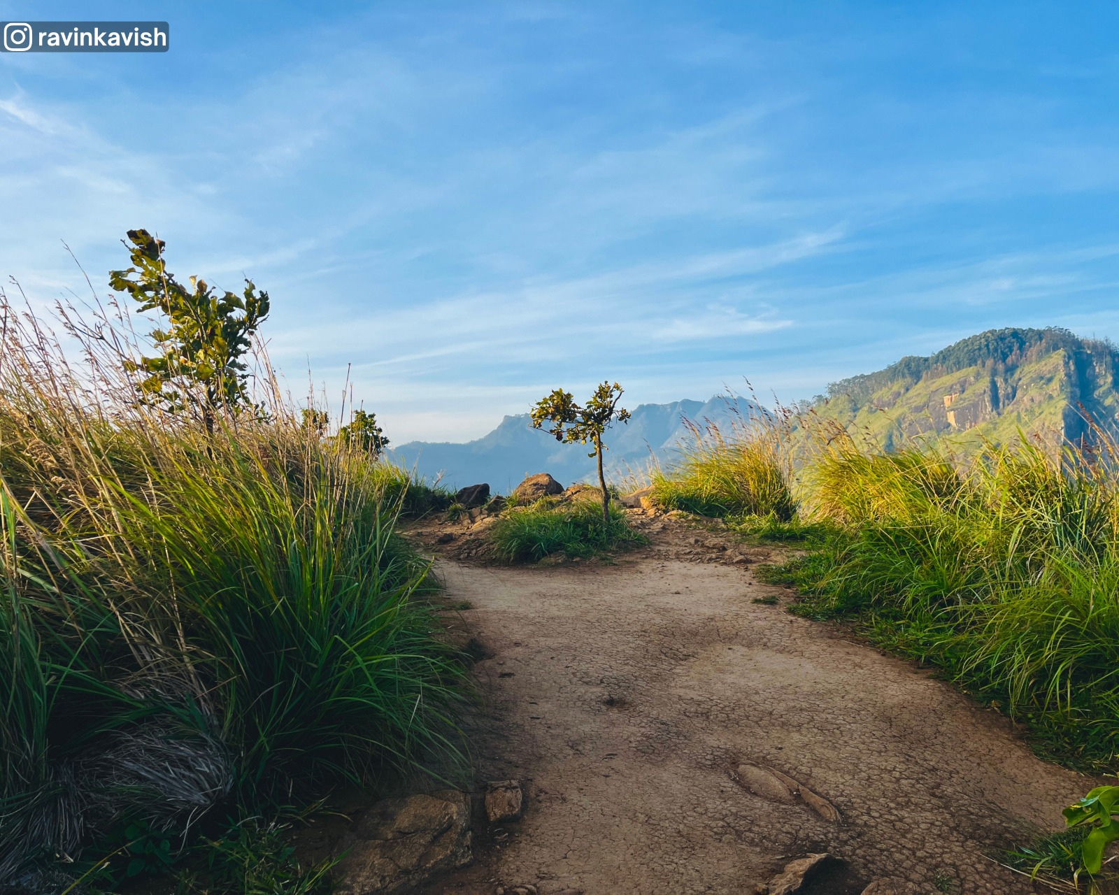 A small open area on Little Adams Peak in Ella surrounded by grass, small trees, and rocks with distant mountains showcasing Sri Lankas scenic hill country