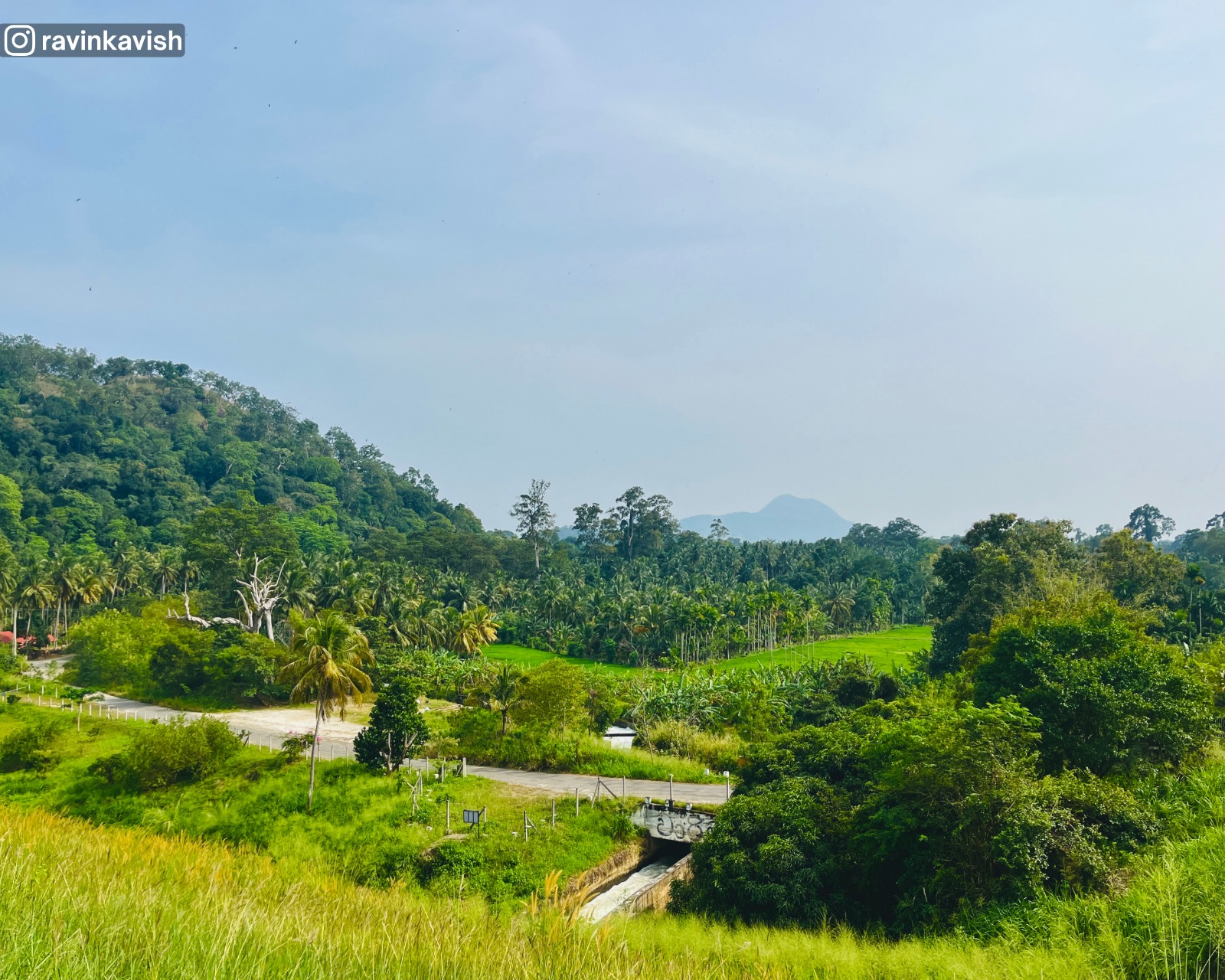 Alikota Ara Reservoir area in Ella with surrounding nature, trees, and hills showcasing Sri Lankas scenic landscapes