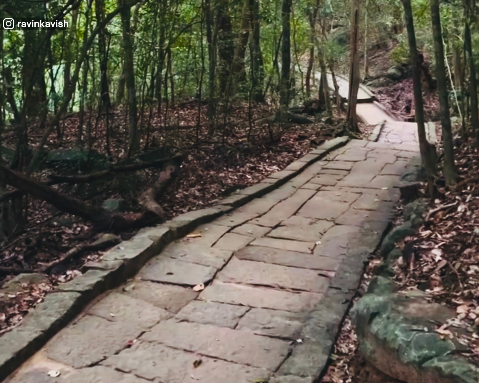 Ancient stone pathways leading through Ritigala Monastery