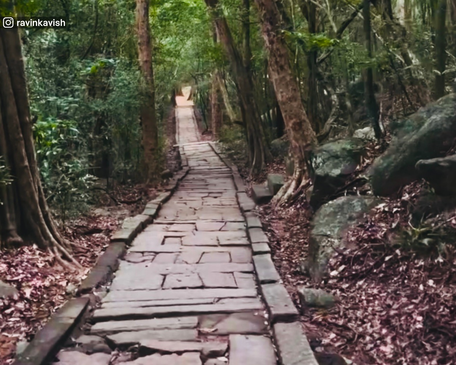 Ancient stone pathways leading through Ritigala Monastery