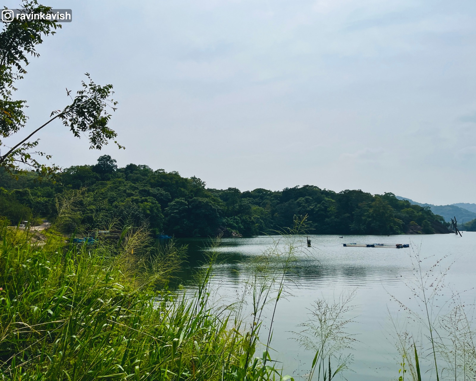 Buduruwagala Reservoir in Ella with calm waters and lush green hills all around showcasing Sri Lankas scenic landscapes