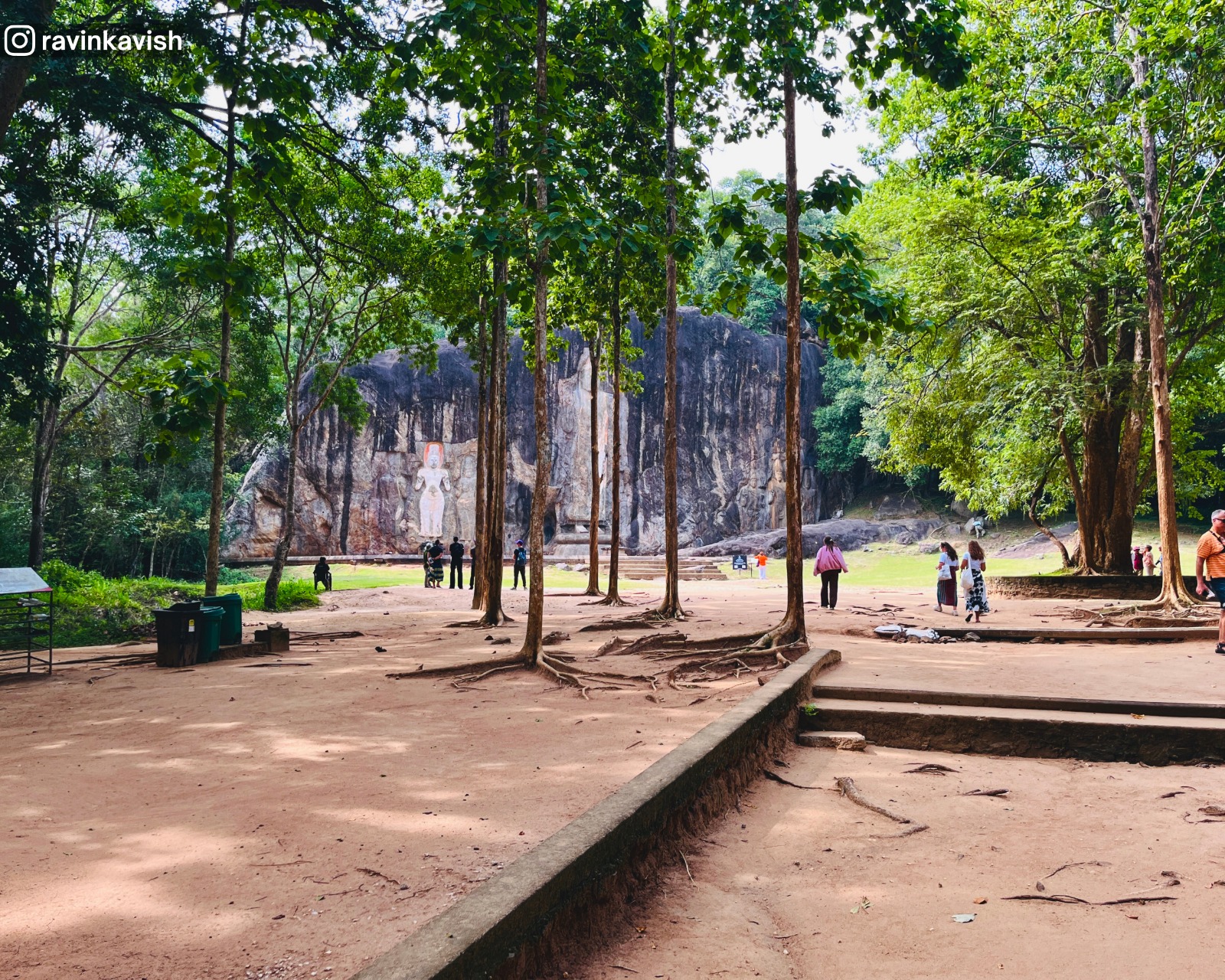 Carved rock face of Buduruwagala Rock Temple seen from a distance through thin, tall trees along the pathway showcasing Sri Lankas cultural heritage