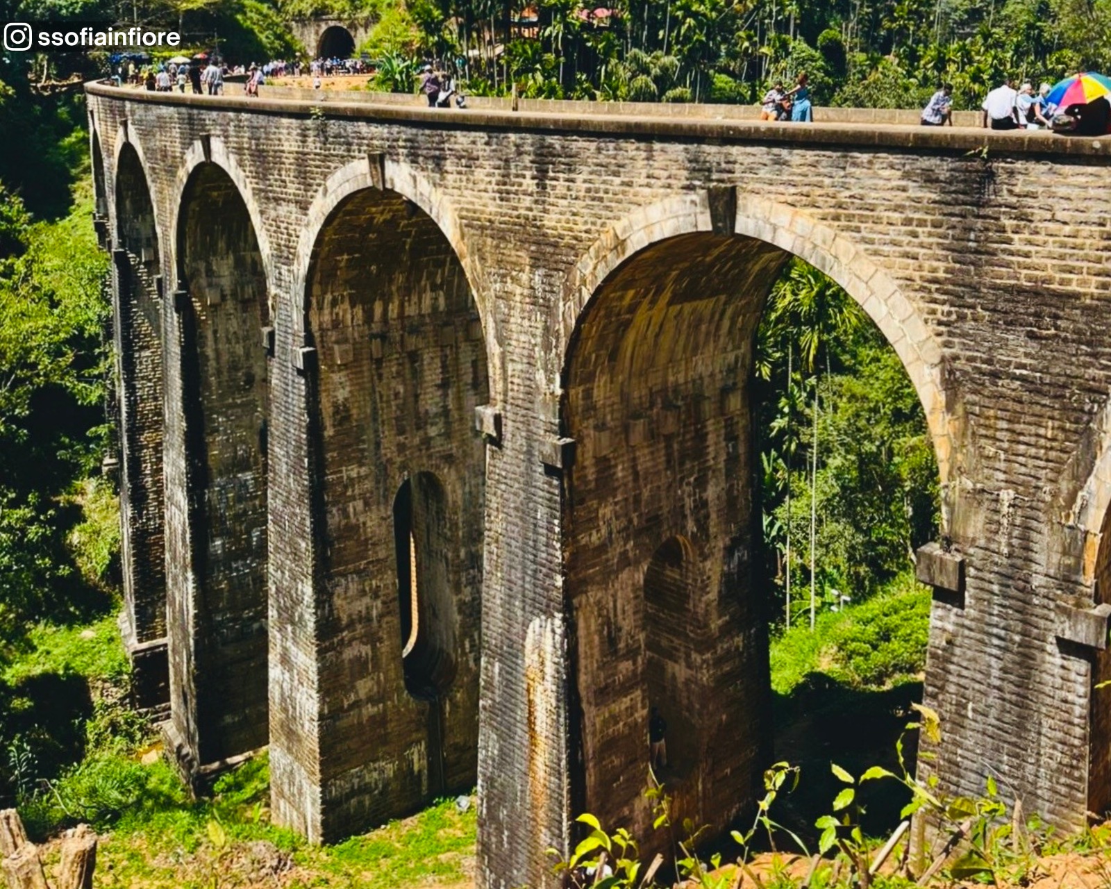 Close-up view of the Nine Arch Bridge showing the full height of the arches from top to bottom, with the tunnel entrance visible in the distance and surrounding greenery