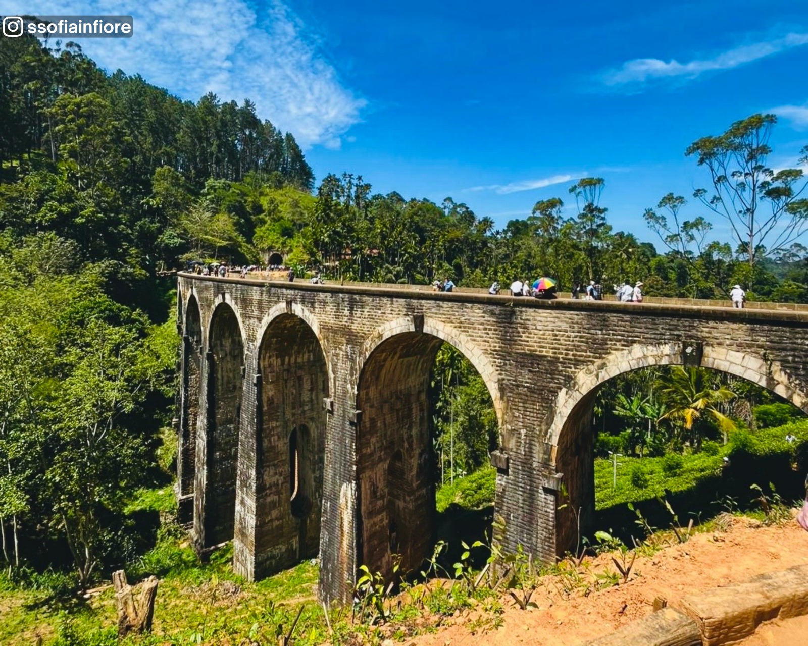 Close-up view of the outer curve of the Nine Arch Bridge showing the arches in detail, surrounded by greenery