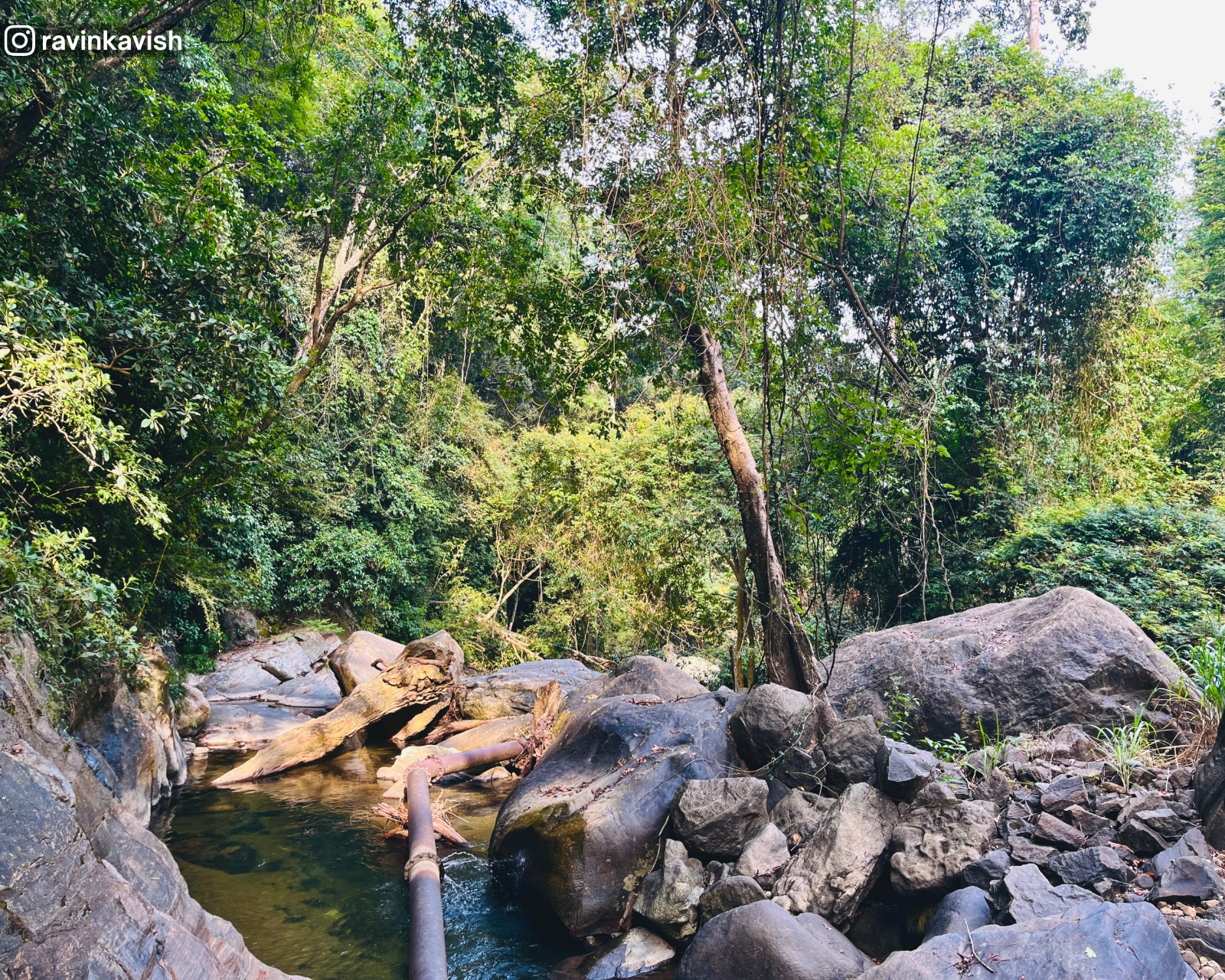 Downstream of Ellewala Waterfall flowing through rocks in Ella surrounded by trees and natural scenery showcasing Sri Lankas landscapes