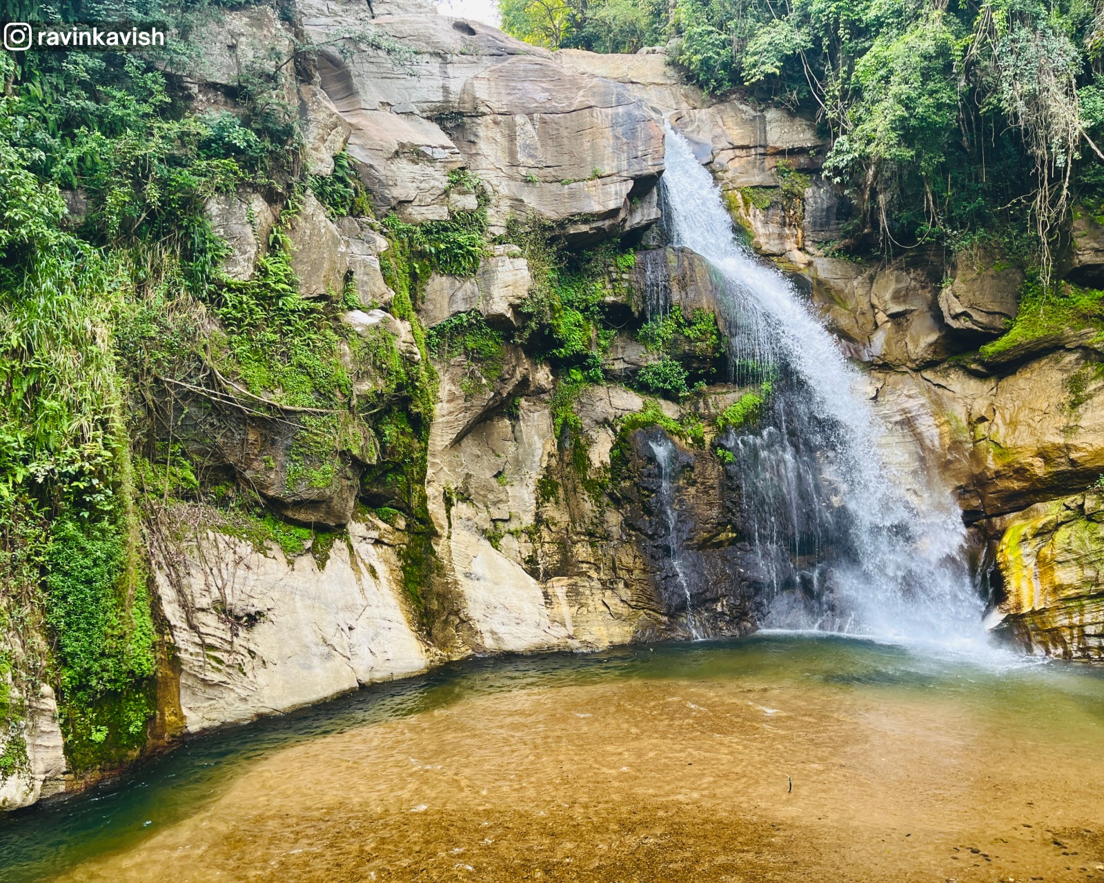 Ellewala Waterfall in Ella seen from a higher angle with a rocky basin and surrounding trees showcasing Sri Lankas natural beauty