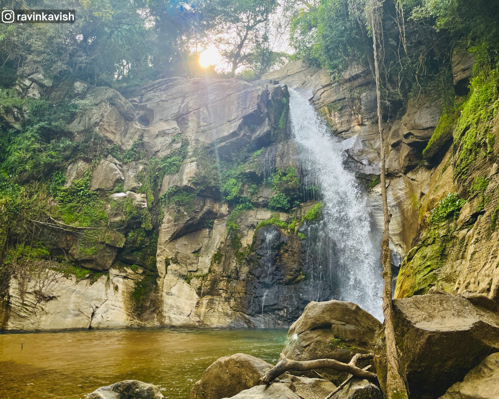 Ellewala Waterfall in Ella with a rocky basin, trees at the top with sunlight shining through, and a strong vine line running from the basin to the forested area showcasing Sri Lankas natural beauty