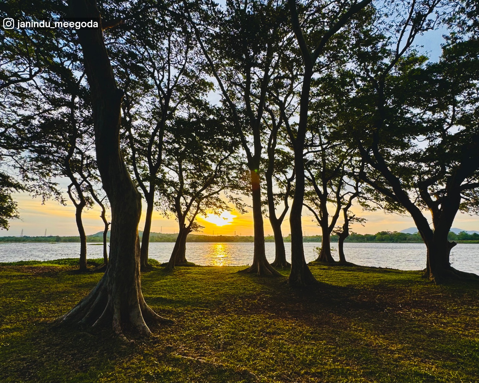 Golden-hour view through the forest by Habarana Lake