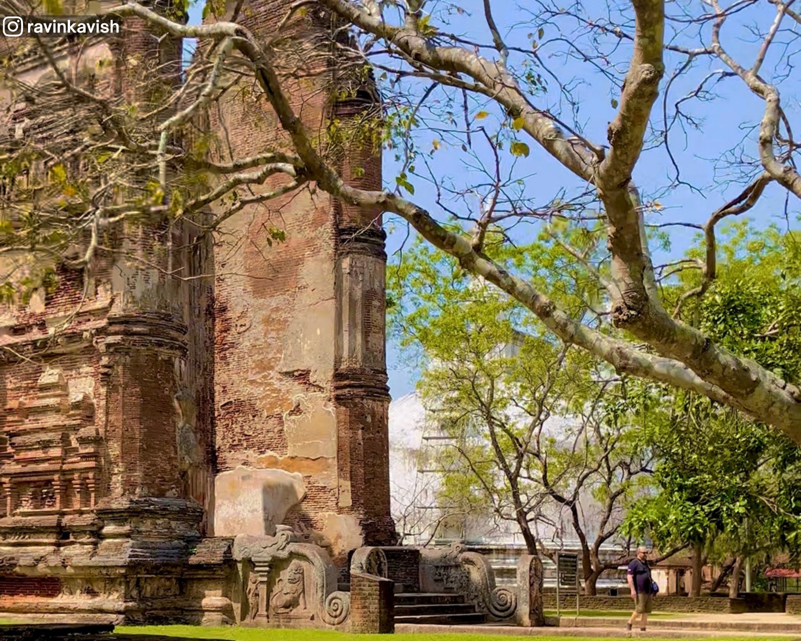 Lankathilaka Temple with Kiri Vehera stupa partially visible through a tree at Alahana Pirivena, Polonnaruwa