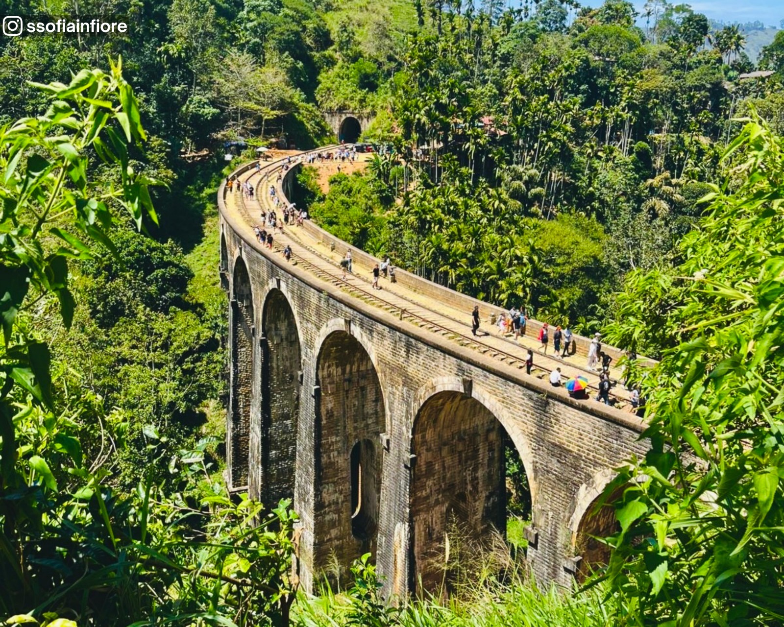 Outer curve view of the Nine Arch Bridge showing the iconic arches and the tunnel at the end, surrounded by lush greenery