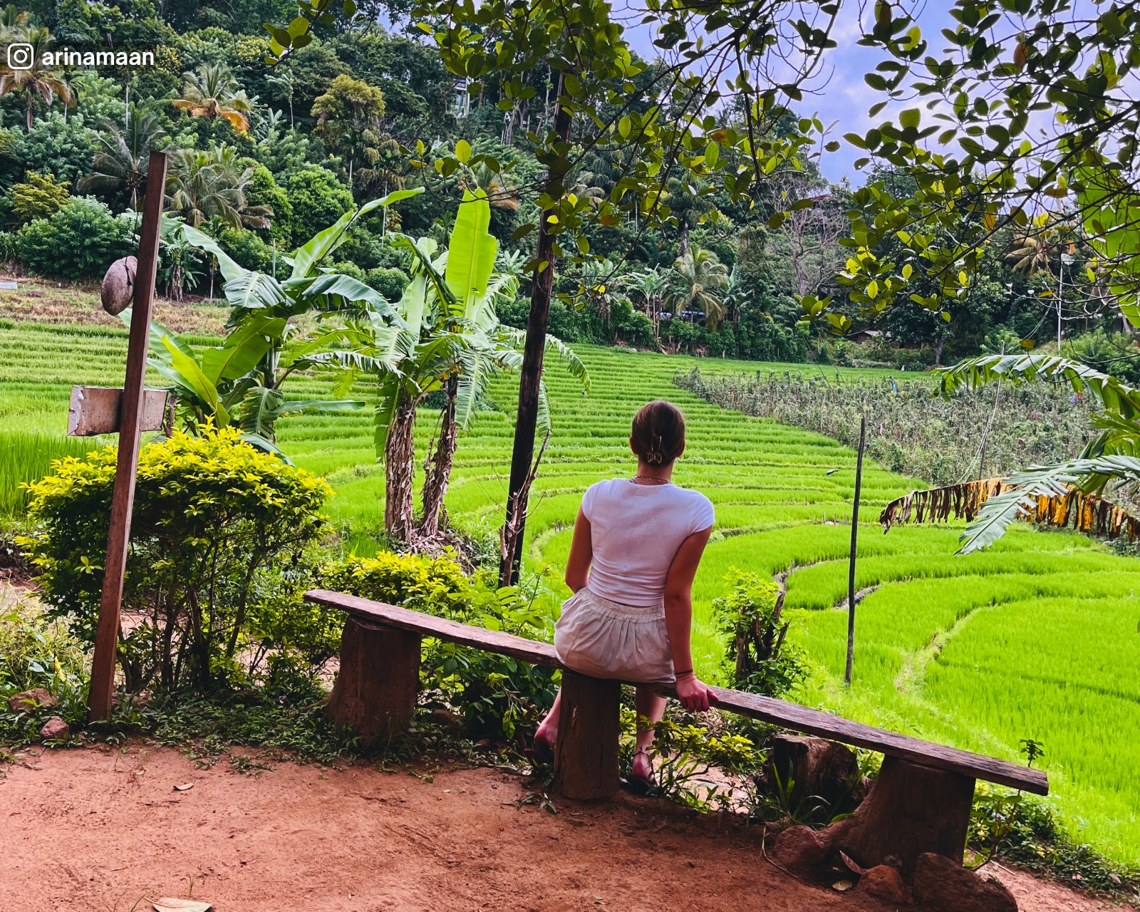Paddy field with a resting area and bench near Pallewela Waterfall, surrounded by greenery and natural scenery