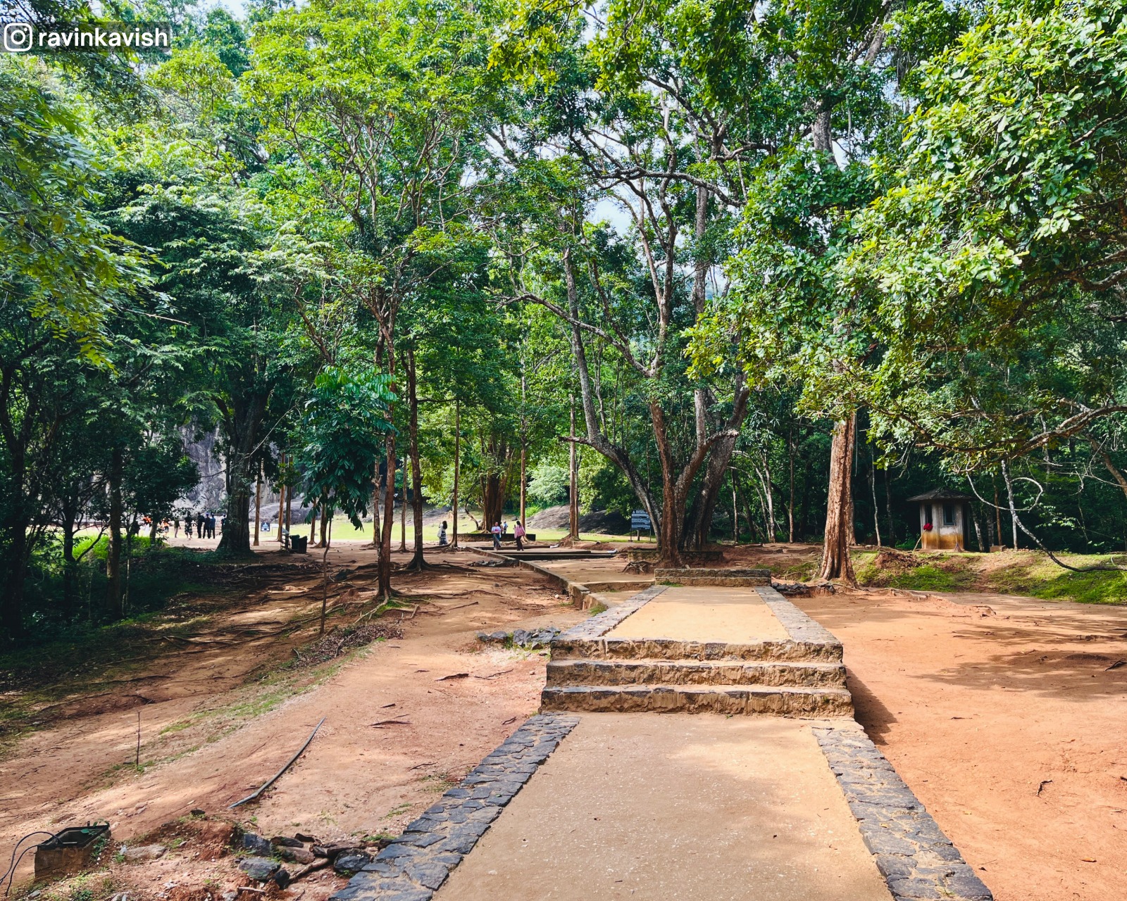 Path through light forest leading to Buduruwagala Rock Temple showcasing Sri Lankas natural and cultural landscape