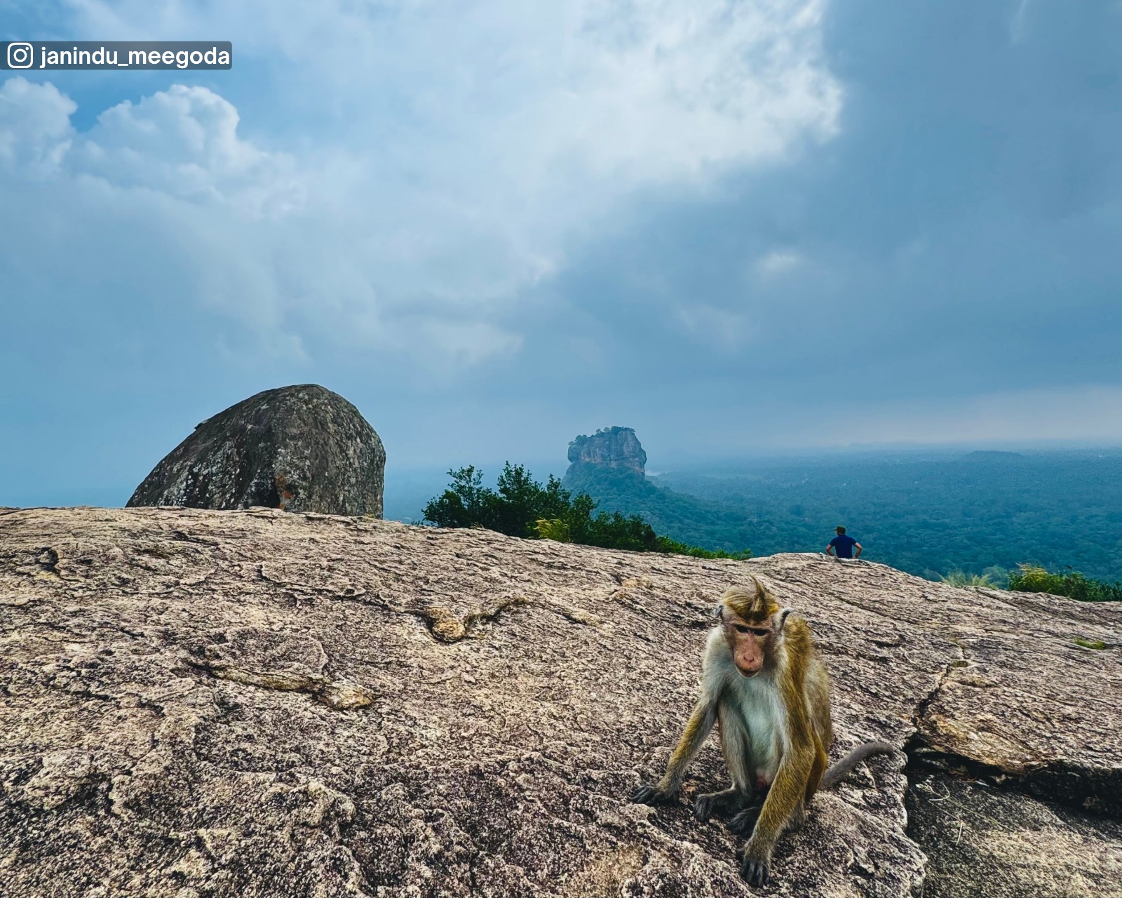 Pidurangala Rock with occasional monkeys