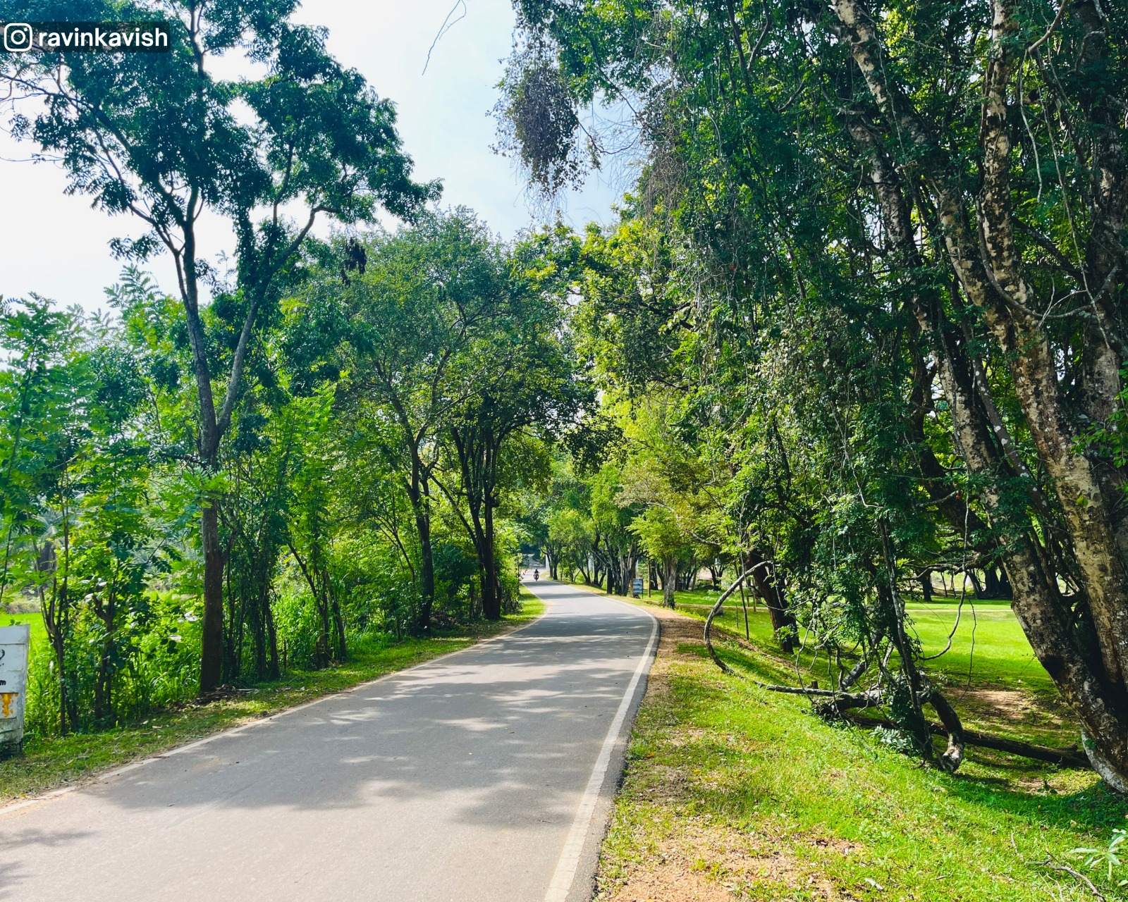 Road leading to Buduruwagala rock carvings with green surroundings showcasing Sri Lankas cultural and natural landscapes