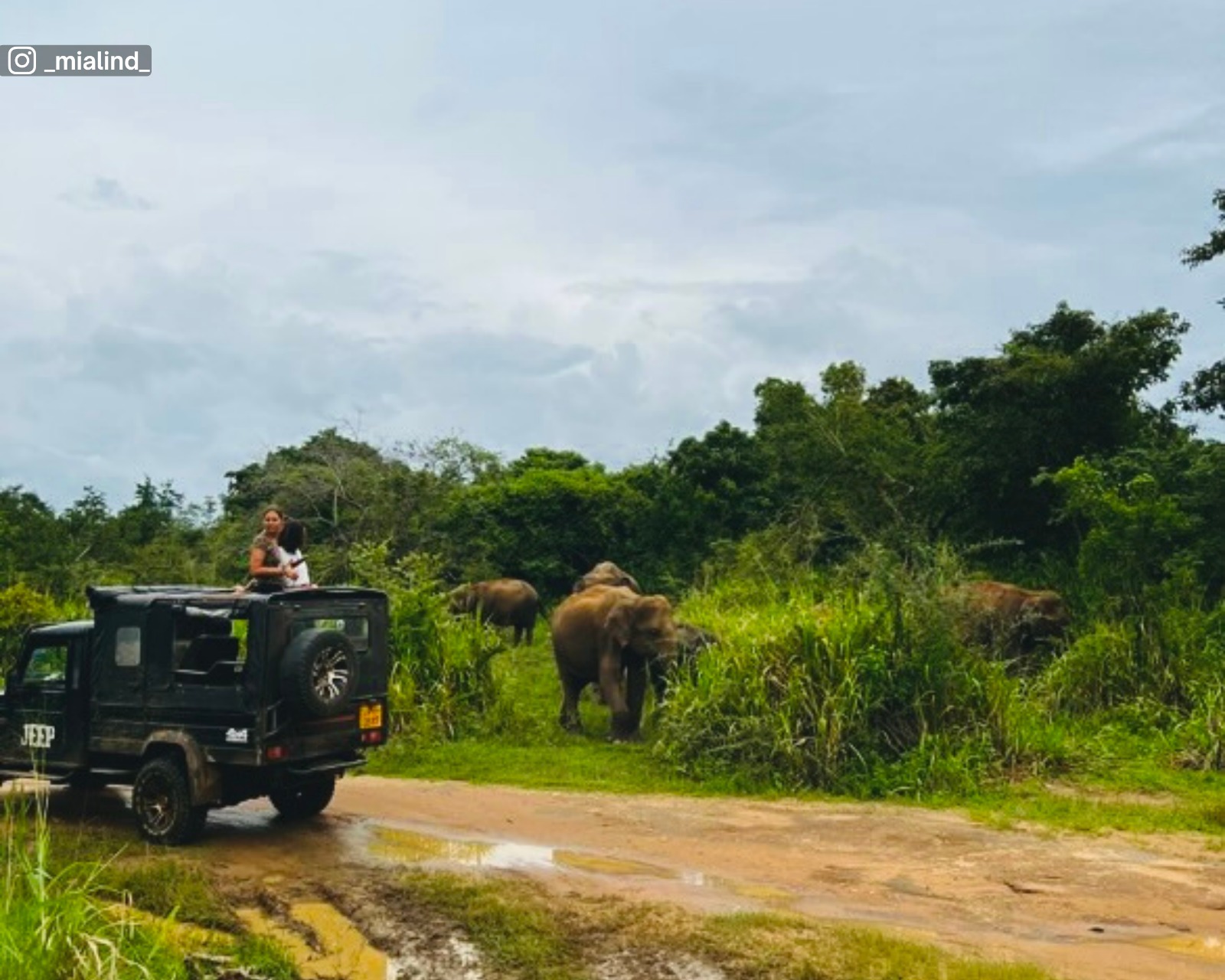 Safari experience at Hurulu Eco Park