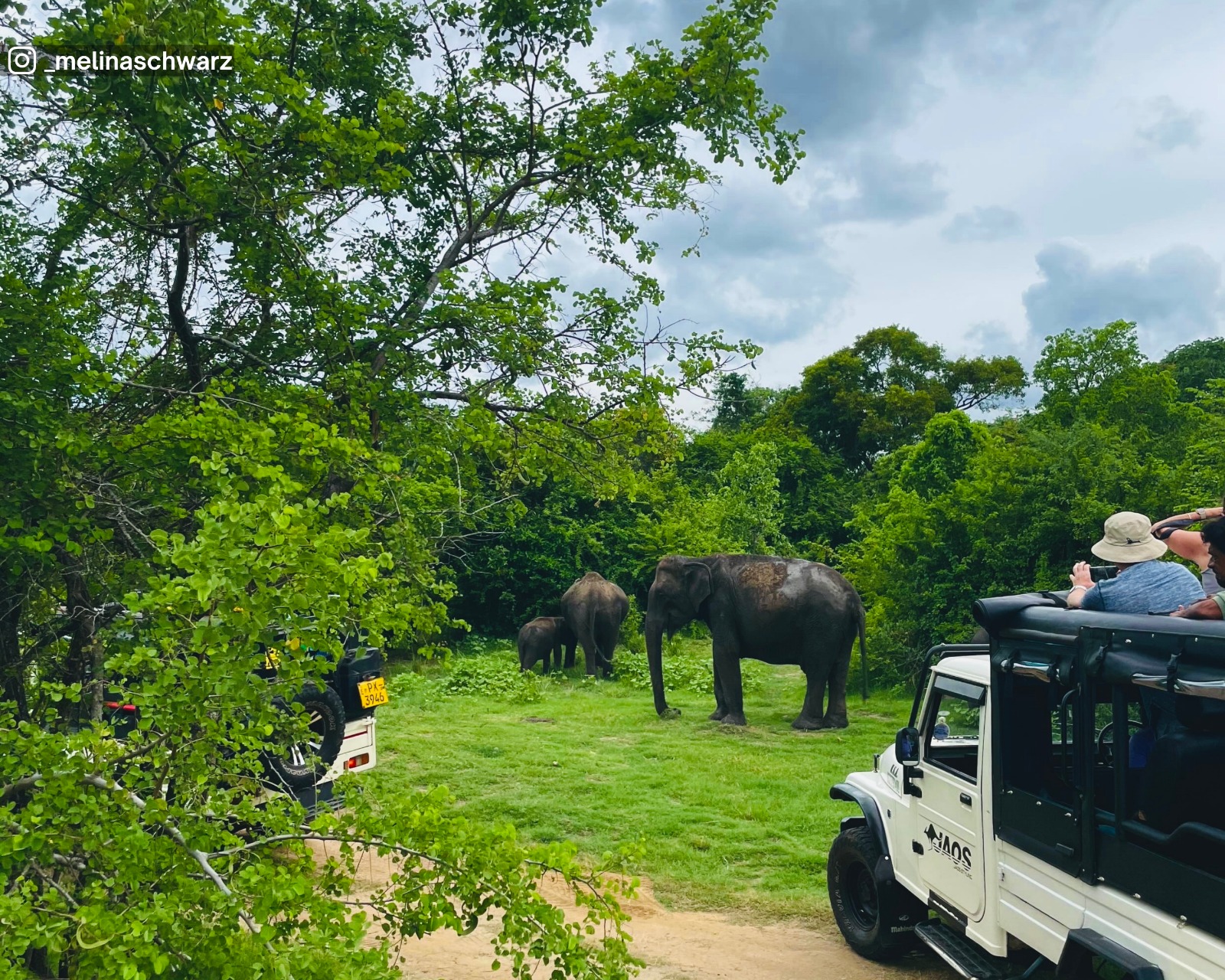 Safari experience at Kaudulla National Park