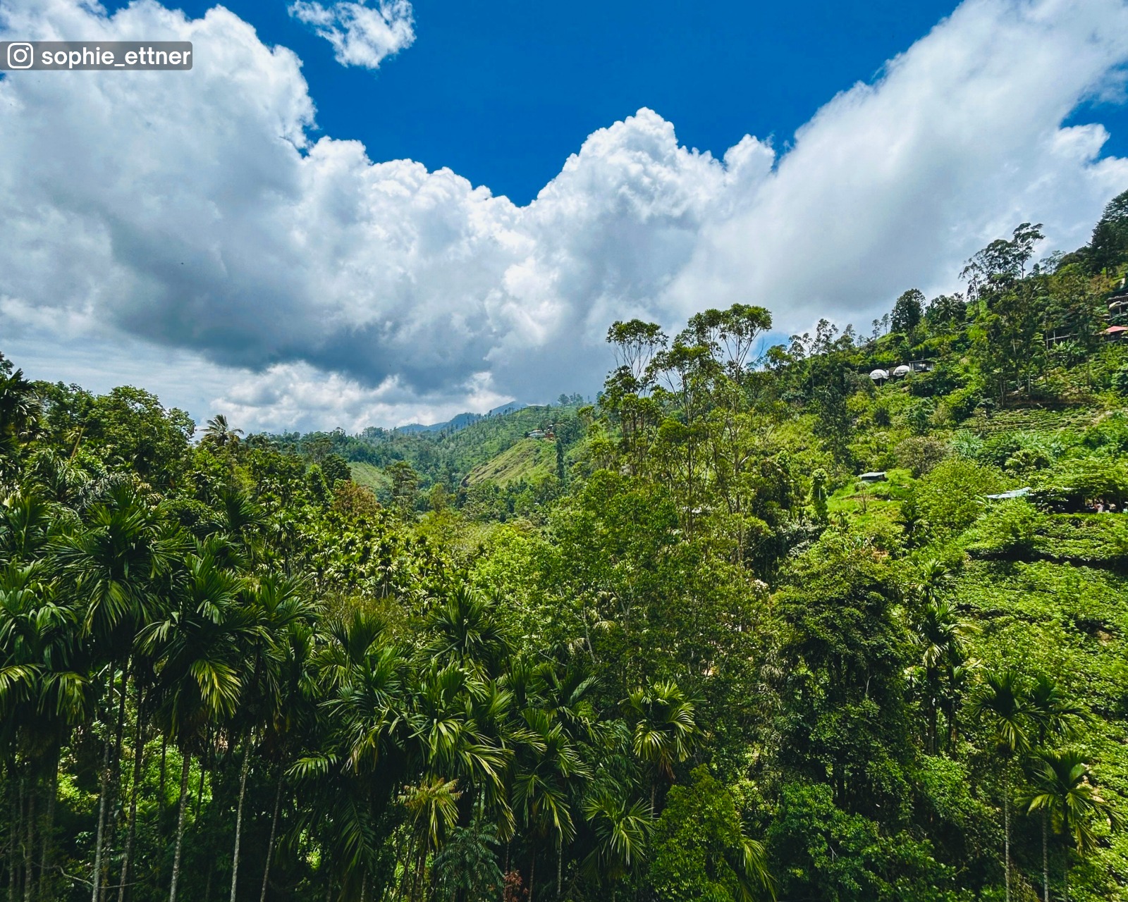 Scenic view of greenery and wide-open sky from the Nine Arch Bridge in Ella