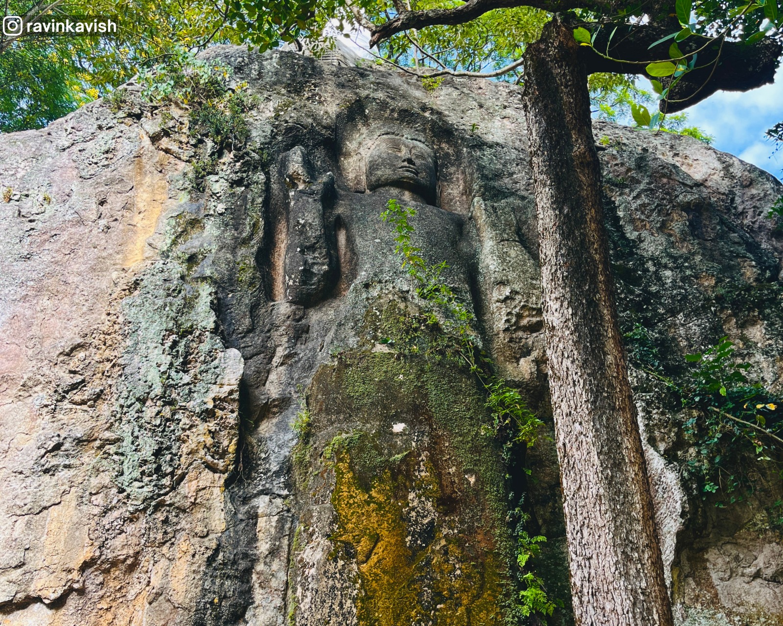 Standing Buddha statue carved into the rock at Dowa Ancient Rock Temple, with a tall tree in front whose trunk reaches the same height as the statue