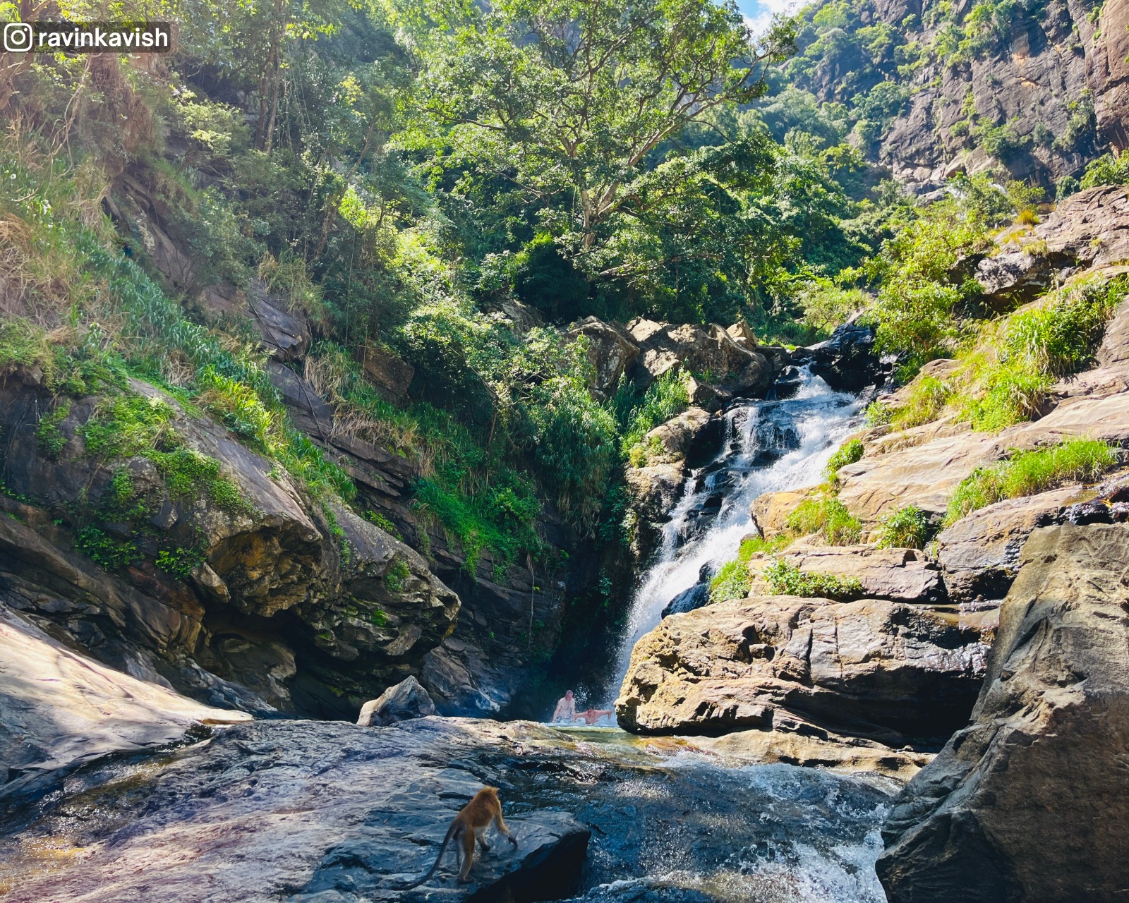 The famous Ravana Waterfall in Ella with rock formations, grass, trees, and a monkey showcasing Sri Lankas wildlife and natural beauty