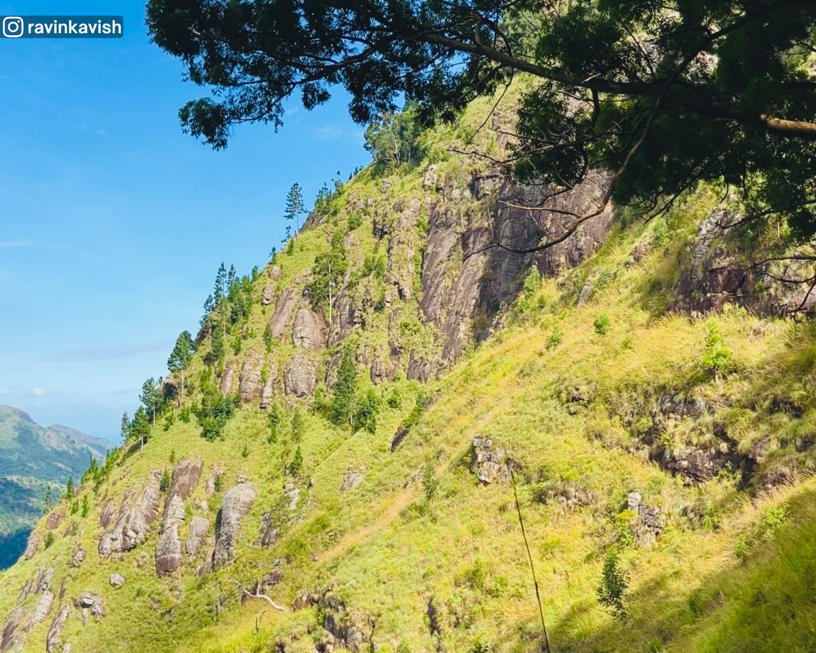 View from Ella Rock showing Ella Rock Mountain and the surrounding hills, valleys, and greenery