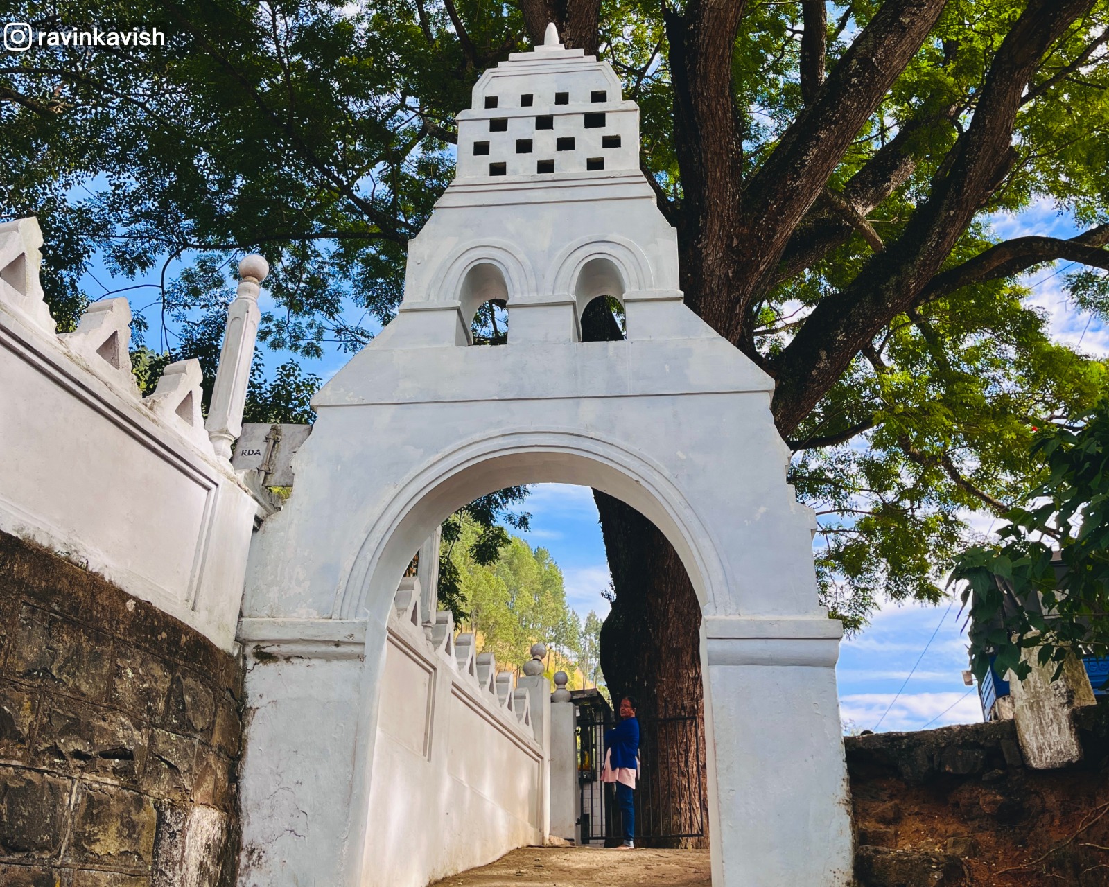 View from inside Dowa Ancient Rock Temple looking out through the main entrance arch, showing the large tree in front and surrounding temple grounds