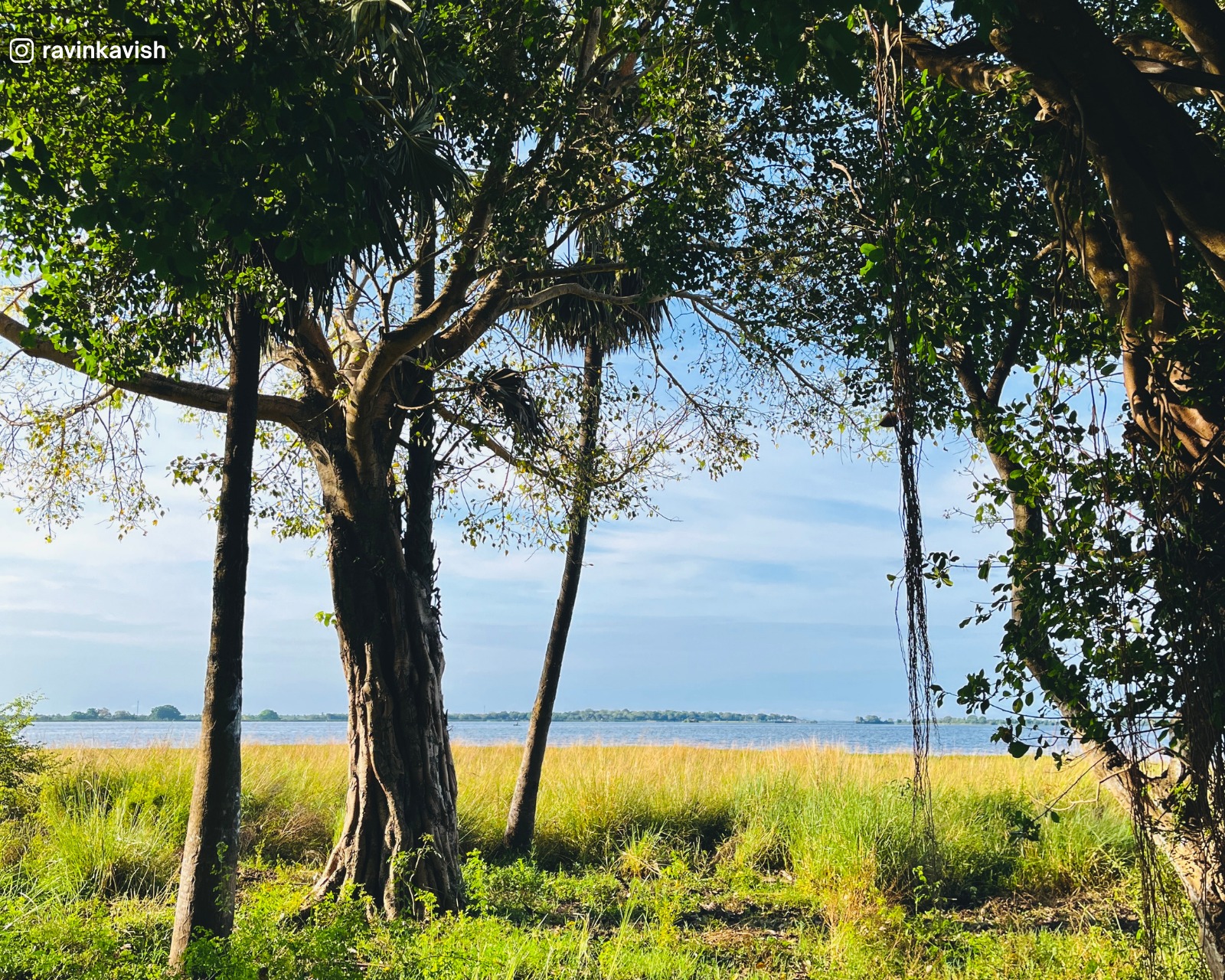 View of Parakrama Samudra reservoir in Polonnaruwa