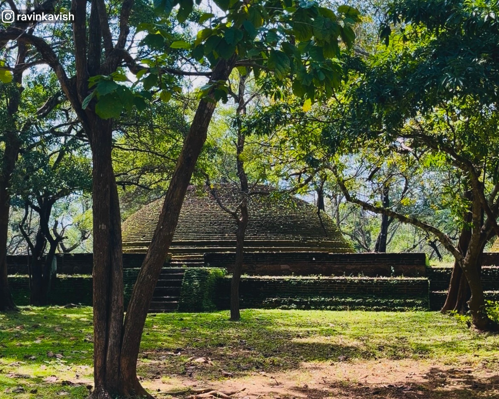 View of burial stupas at Alahana Monastery, Polonnaruwa