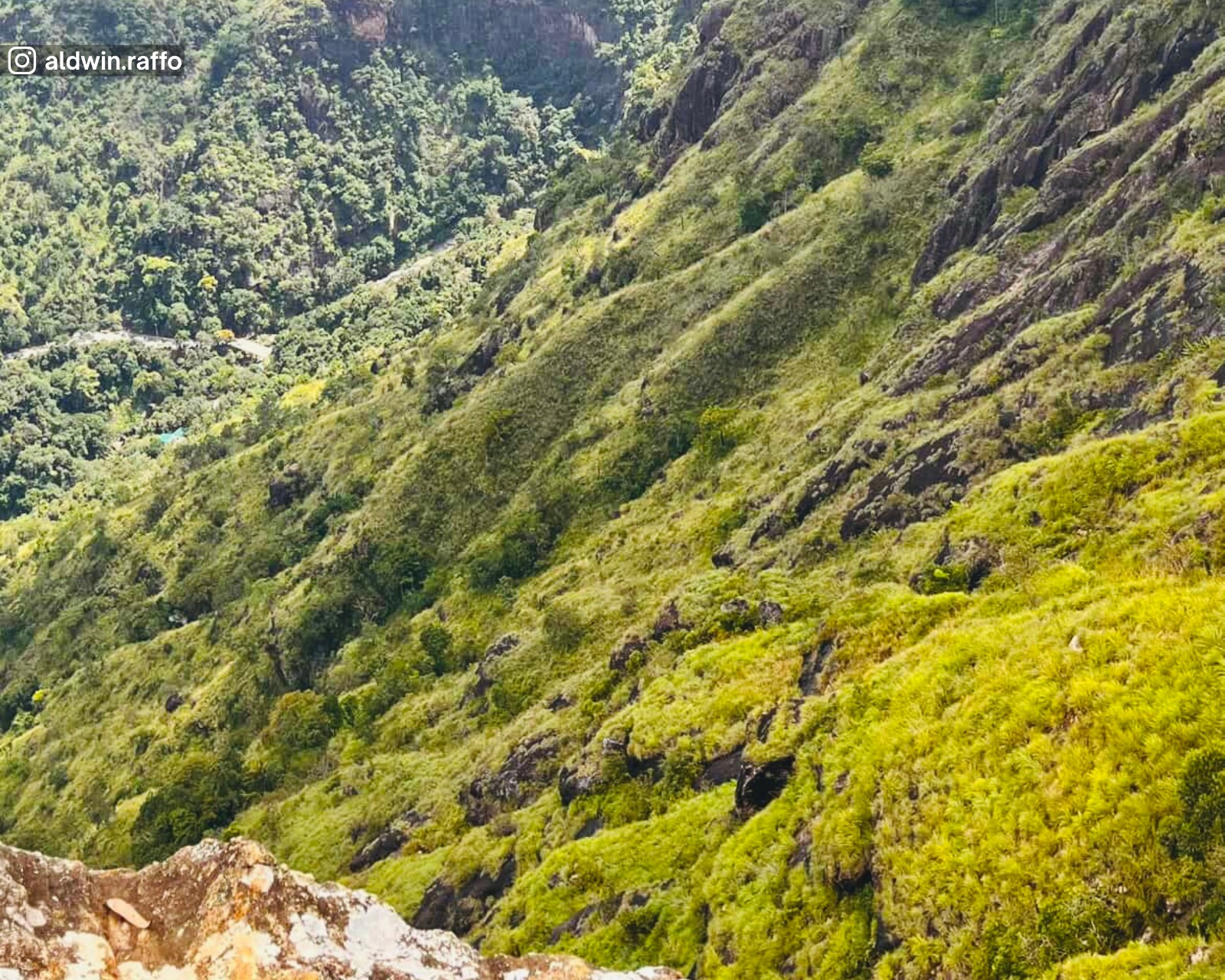 View of lush greenery below from Ella Rock.