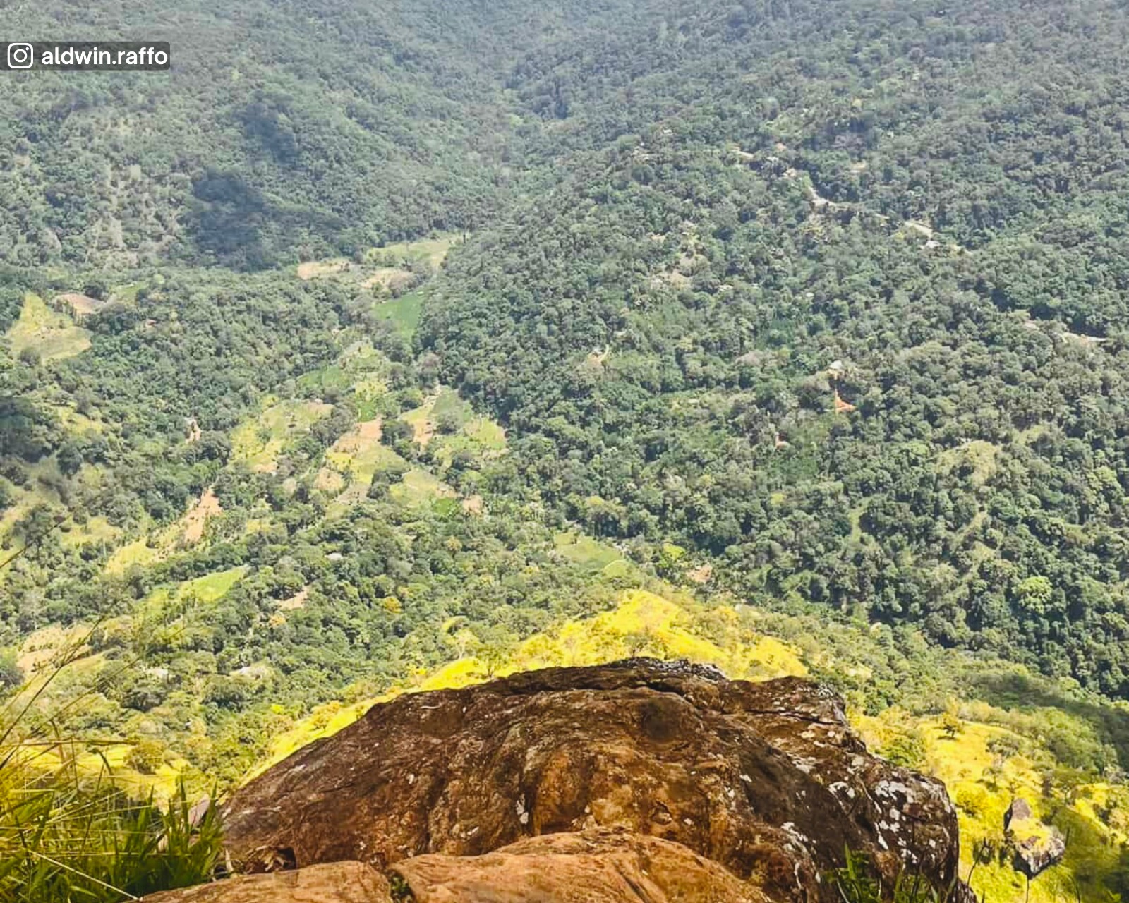 View of the green landscape below from Ella Rock