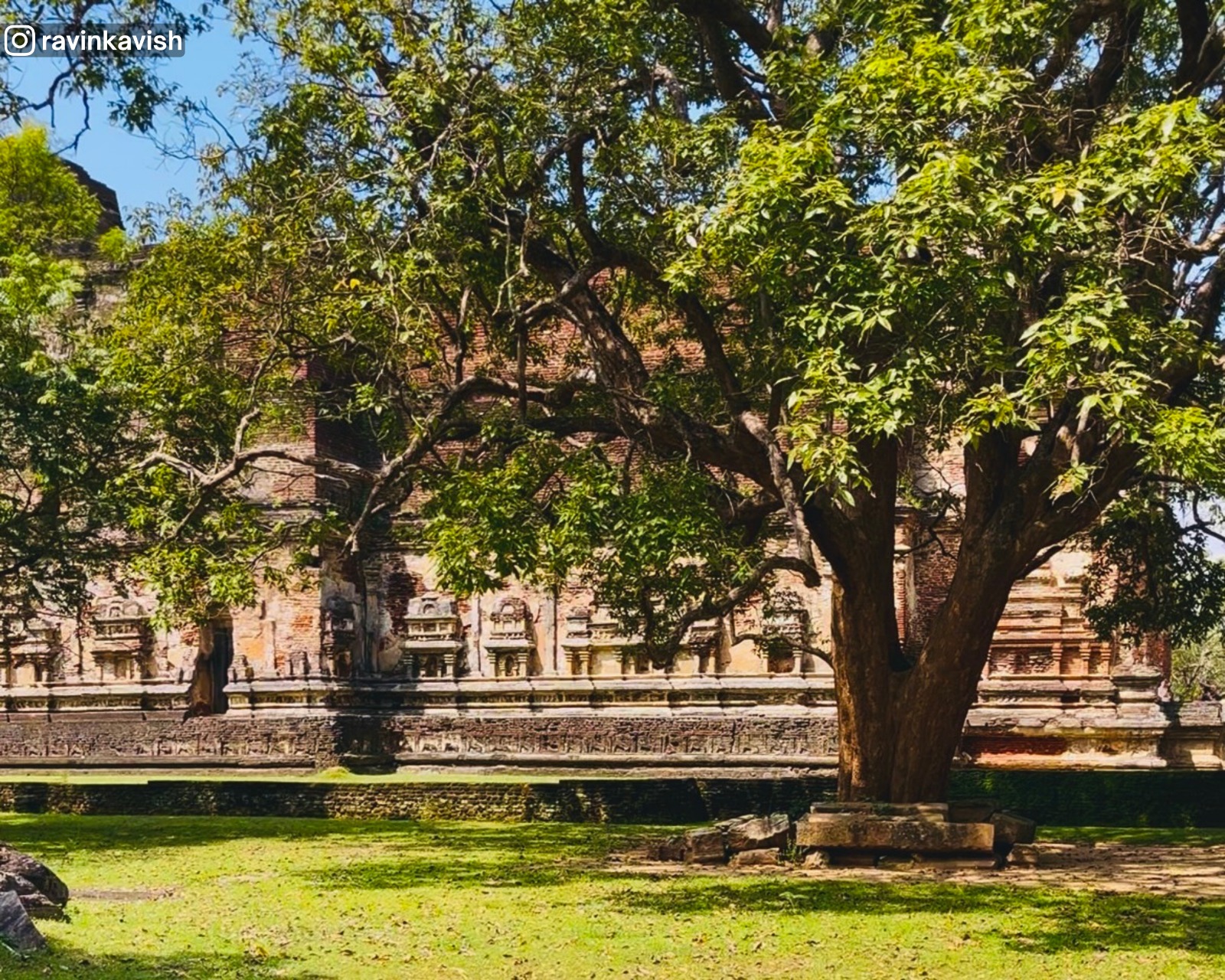 View of the left wall of Lankathilaka Temple from the side through trees at Alahana Pirivena, Polonnaruwa