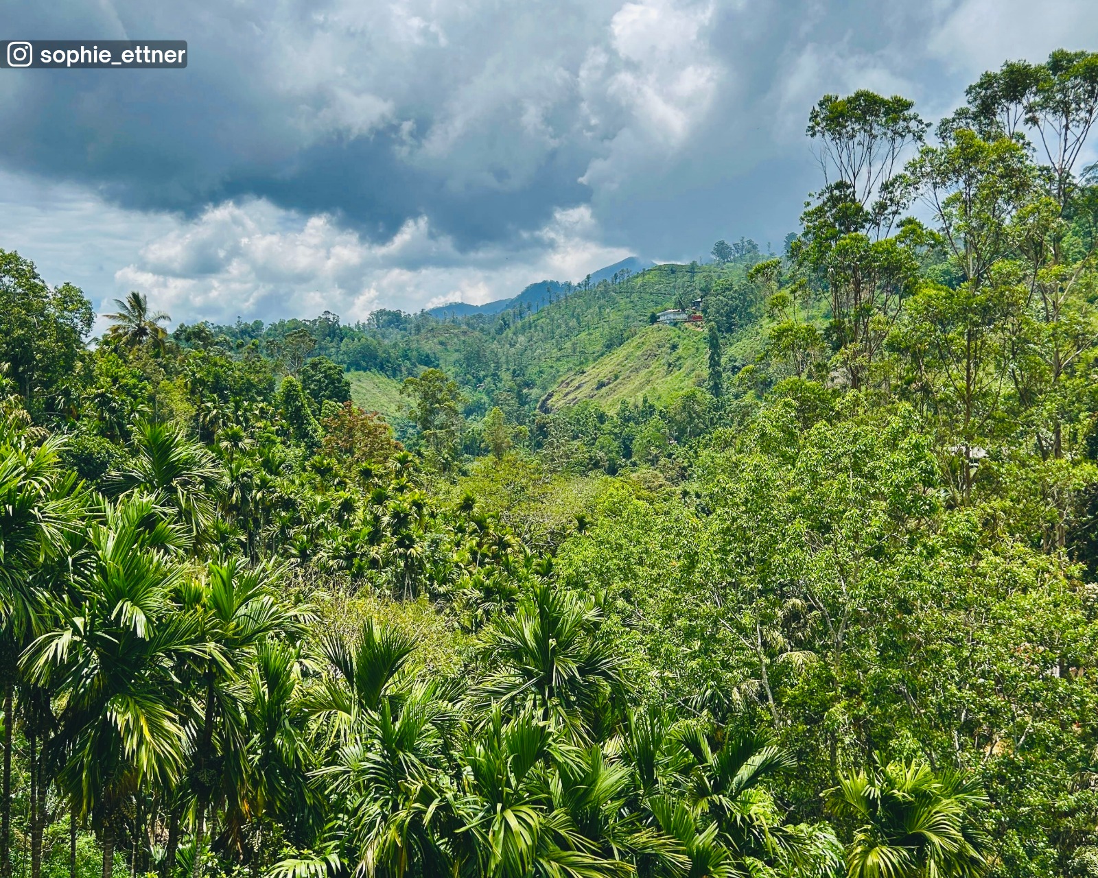 View of the lush green surroundings and expansive sky from Ella Nine Arch Bridge