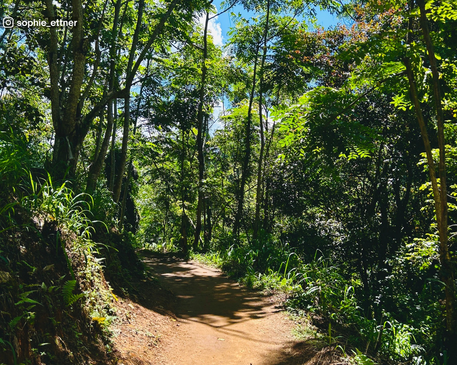 Walking trail through greenery leading to the Nine Arch Bridge in Ella