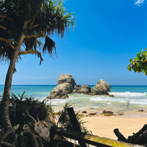 What to see in Koggala