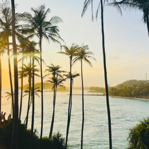 What to see in Mirissa