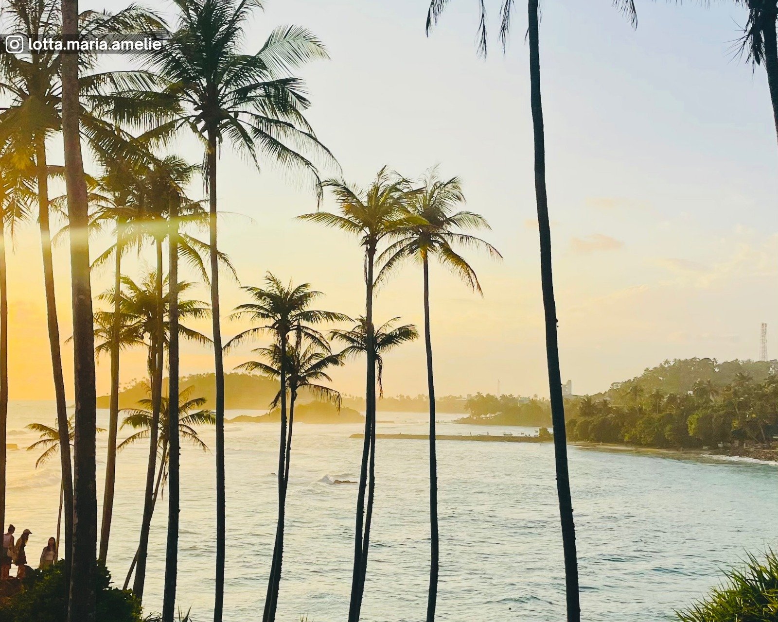 Coconut Tree Hill