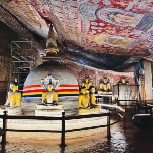 What to see in Dambulla