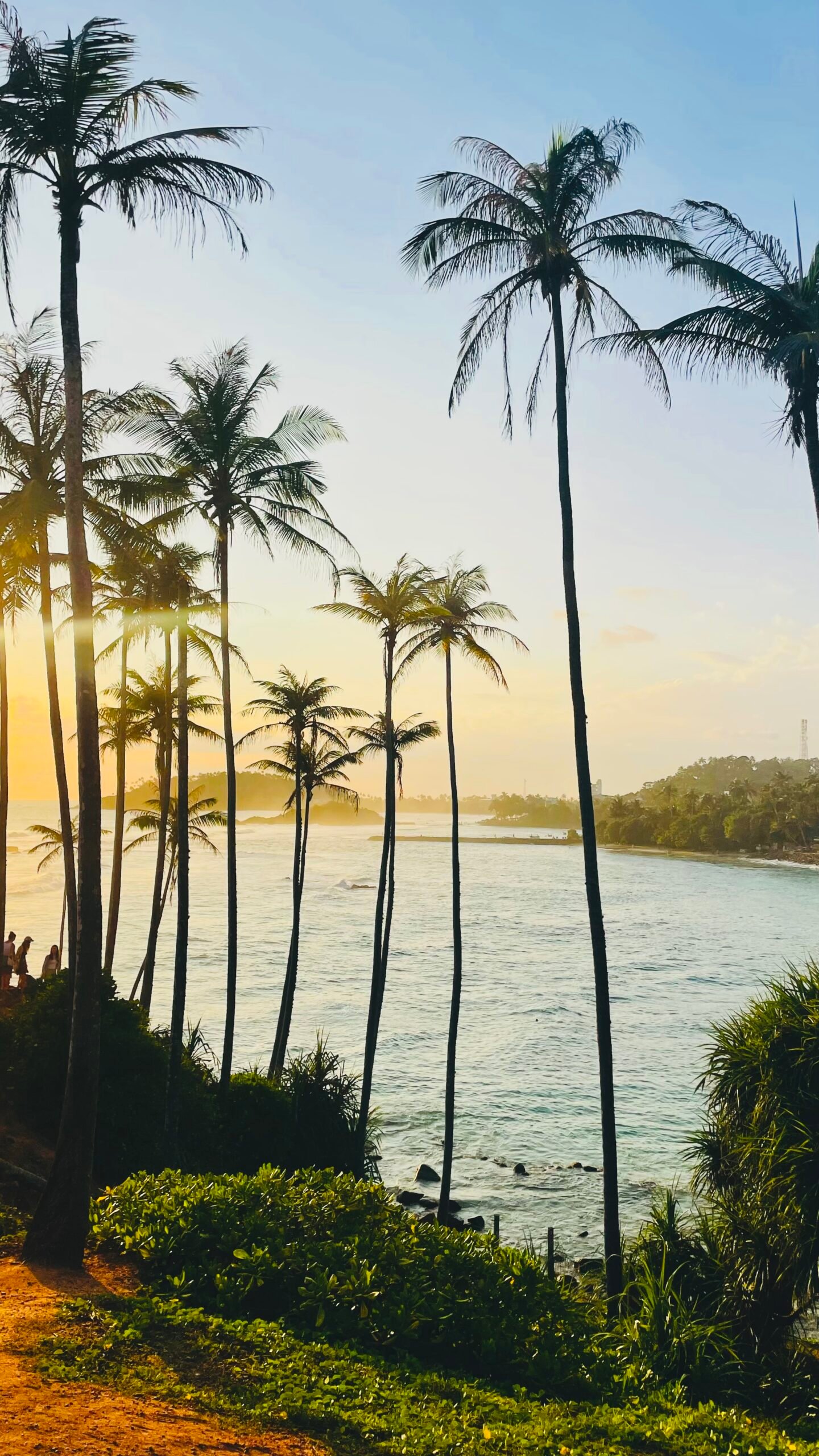 Coconut Tree Hill Mirissa