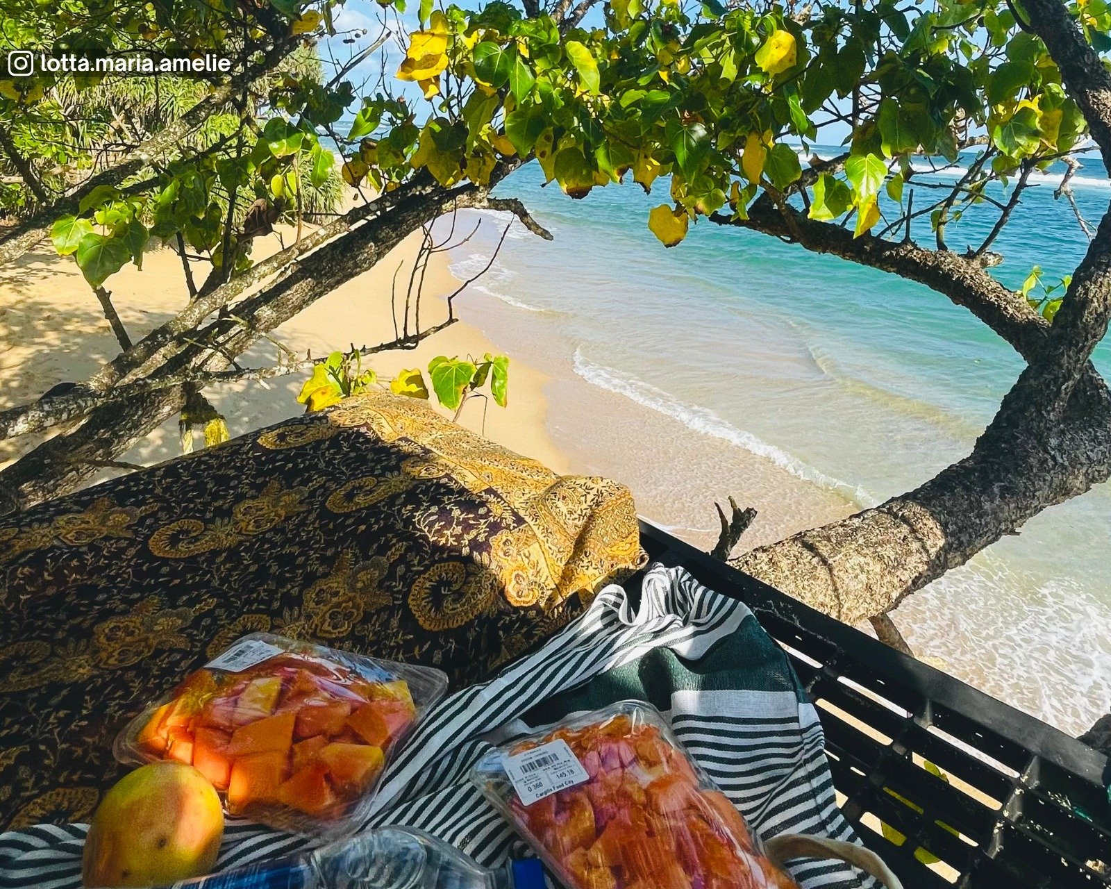 Picnic at Thalaramba Beach