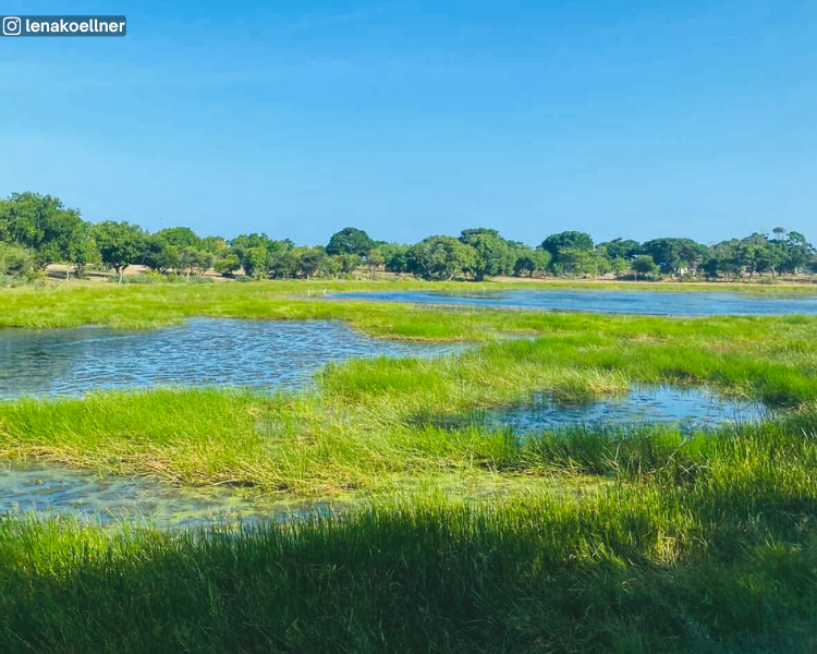 Arugam Lagoon