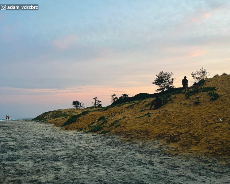 Sandy shoreline rising into a small dune at Pasarichenai Beach near Arugam Bay, Sri LankaBeach​