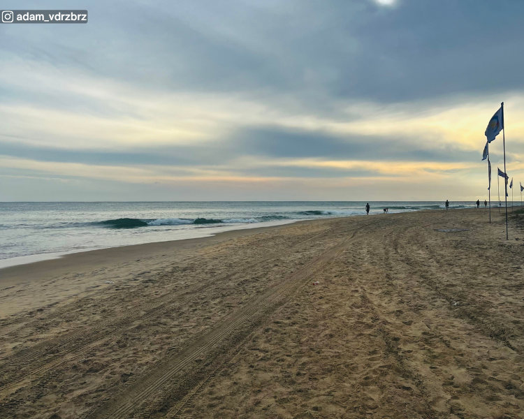 Long sandy beach with sea view and horizon at Pasarichenai Beach near Arugam Bay, Sri Lanka