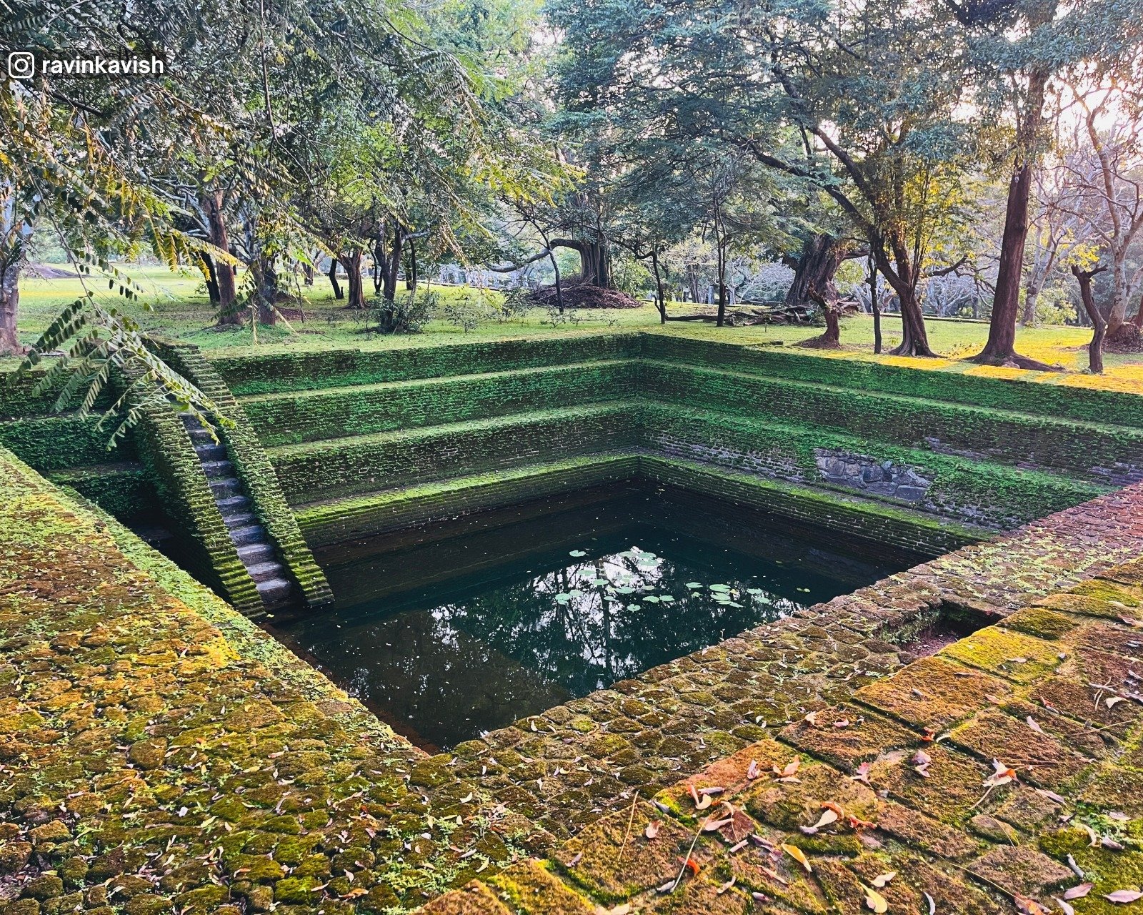 Eastern Pond, Alahana