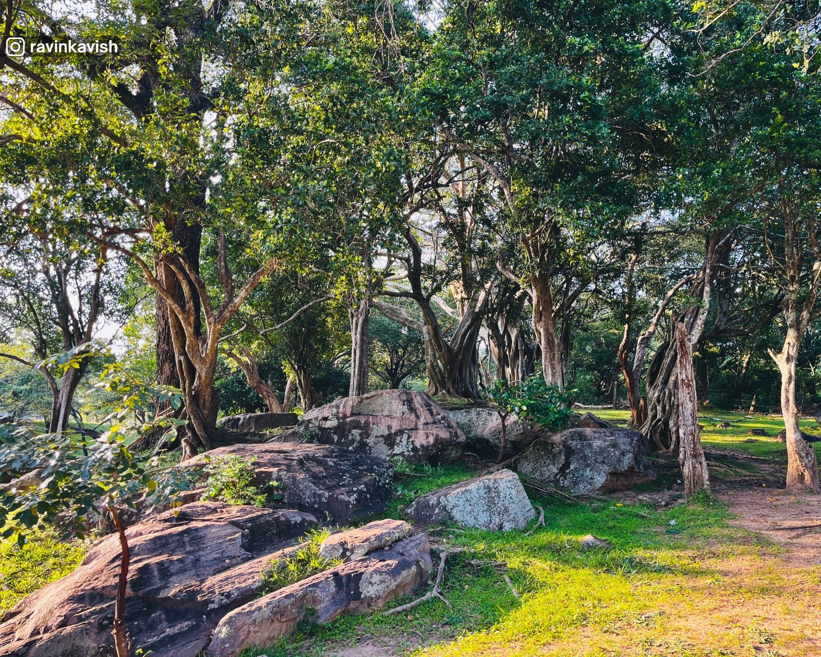Nature around Gal Viharaya