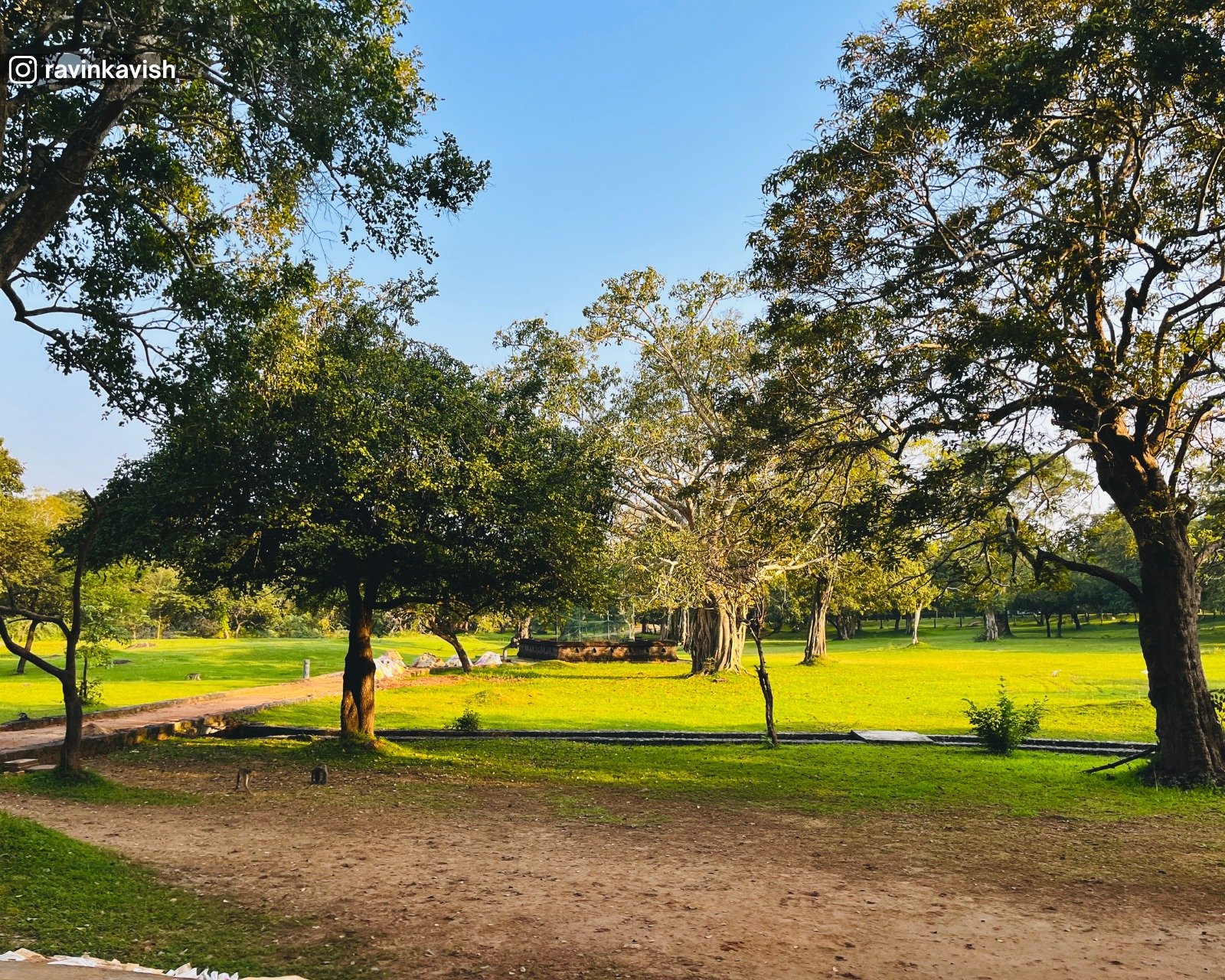 Nature around Gal Viharaya