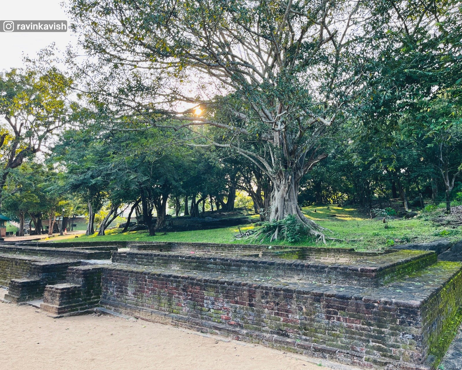 Nature and ruins around Gal Viharaya