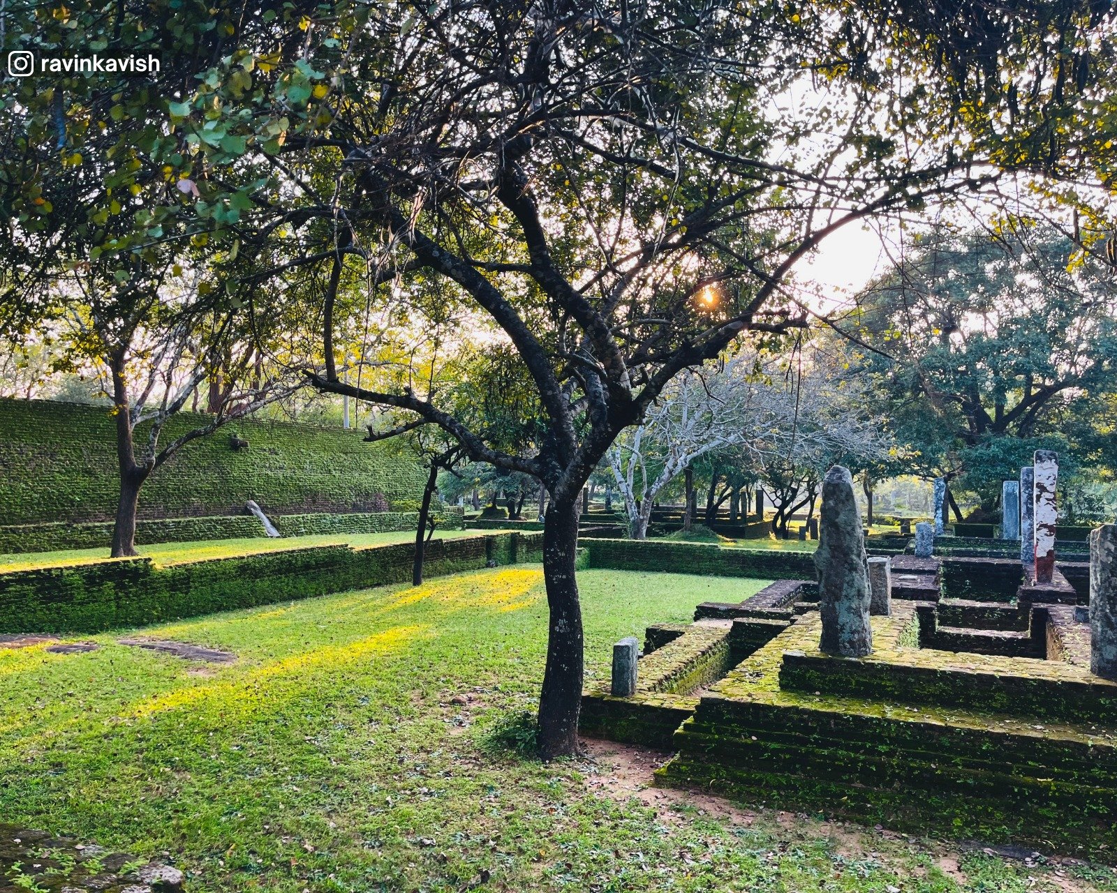 Ruins around Ancient Kiri Vehera in Alahana Pirivena, Polonnaruwa
